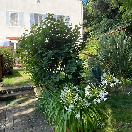 Bed and Breakfast Les Agapanthes Vaux-en-Beaujolais Esterno foto