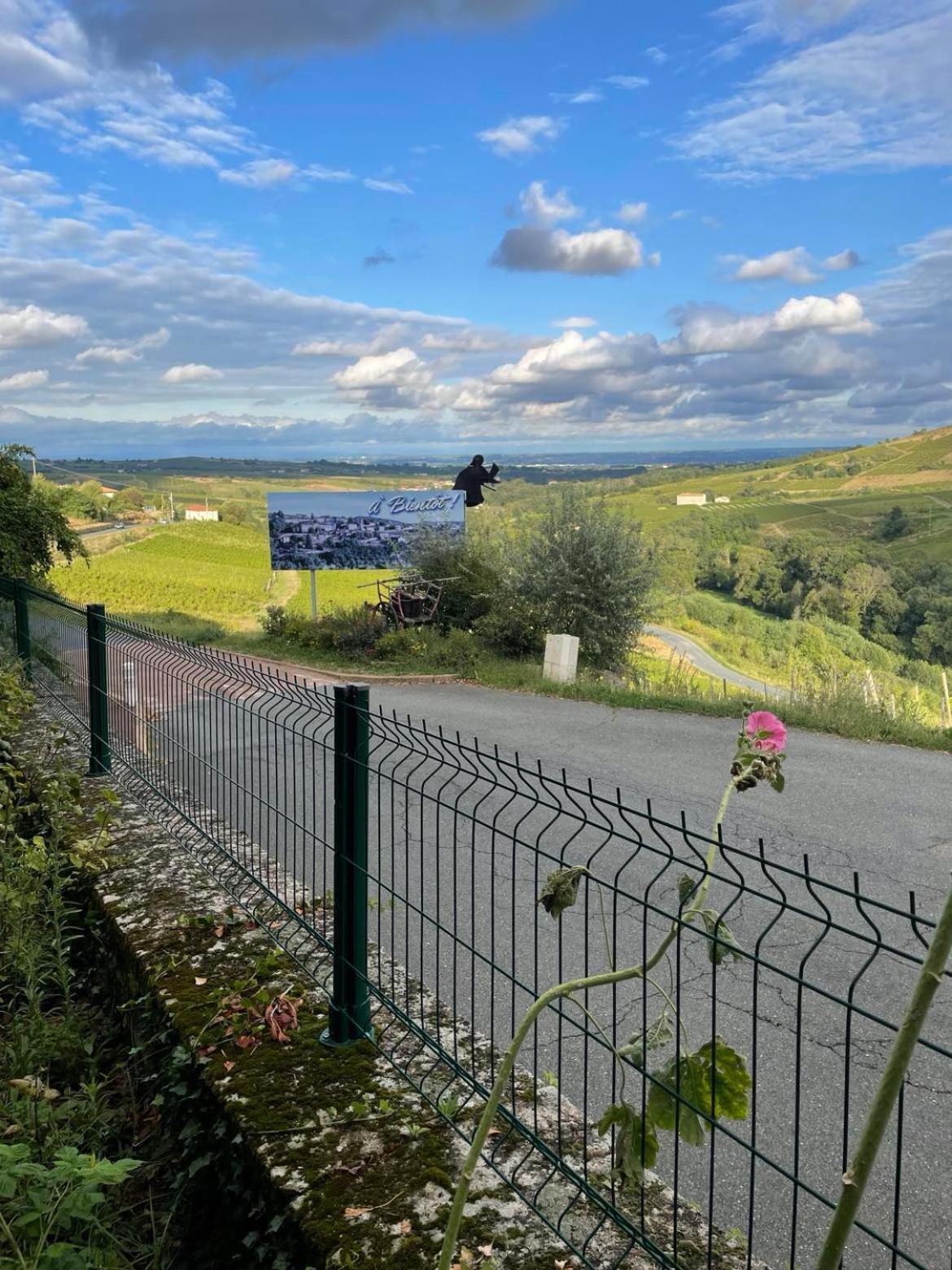 Bed and Breakfast Les Agapanthes Vaux-en-Beaujolais Esterno foto