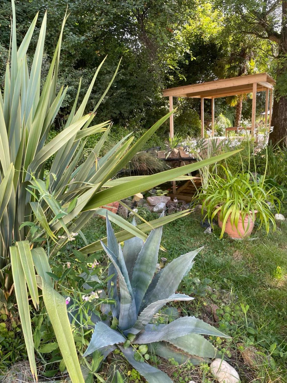 Bed and Breakfast Les Agapanthes Vaux-en-Beaujolais Esterno foto