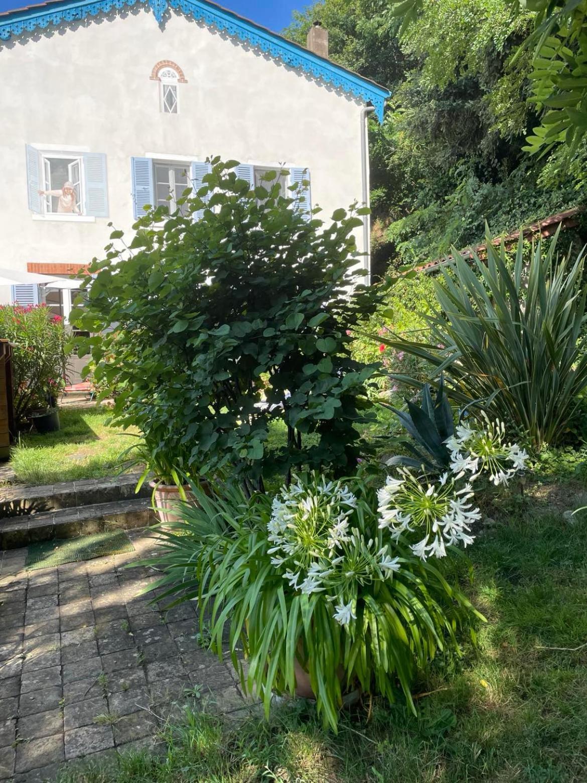 Bed and Breakfast Les Agapanthes Vaux-en-Beaujolais Esterno foto