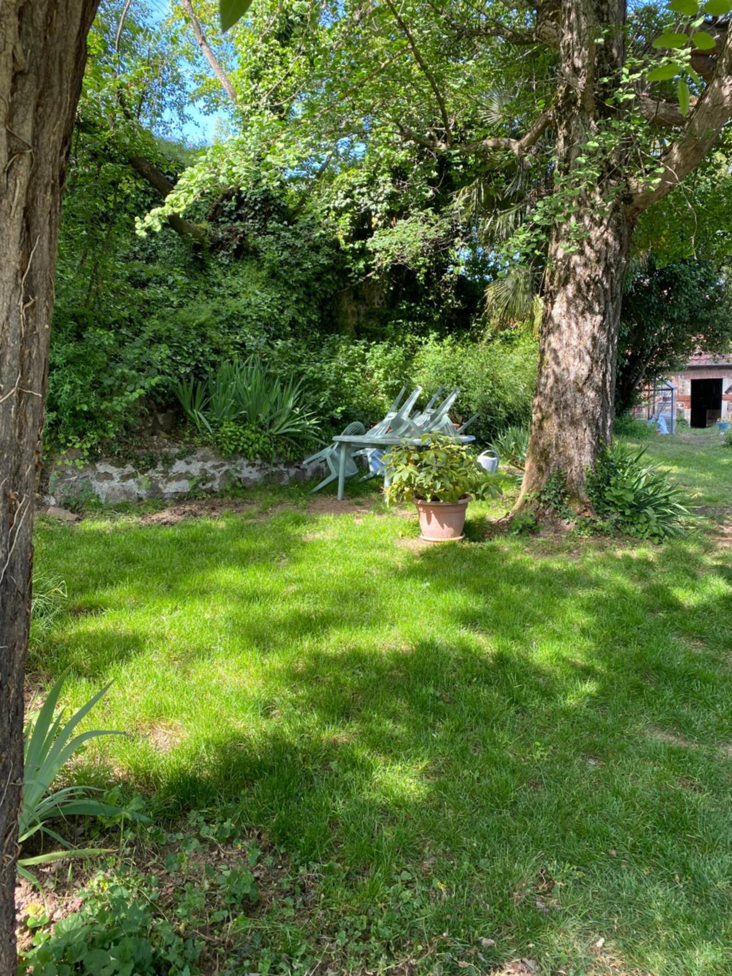 Bed and Breakfast Les Agapanthes Vaux-en-Beaujolais Esterno foto
